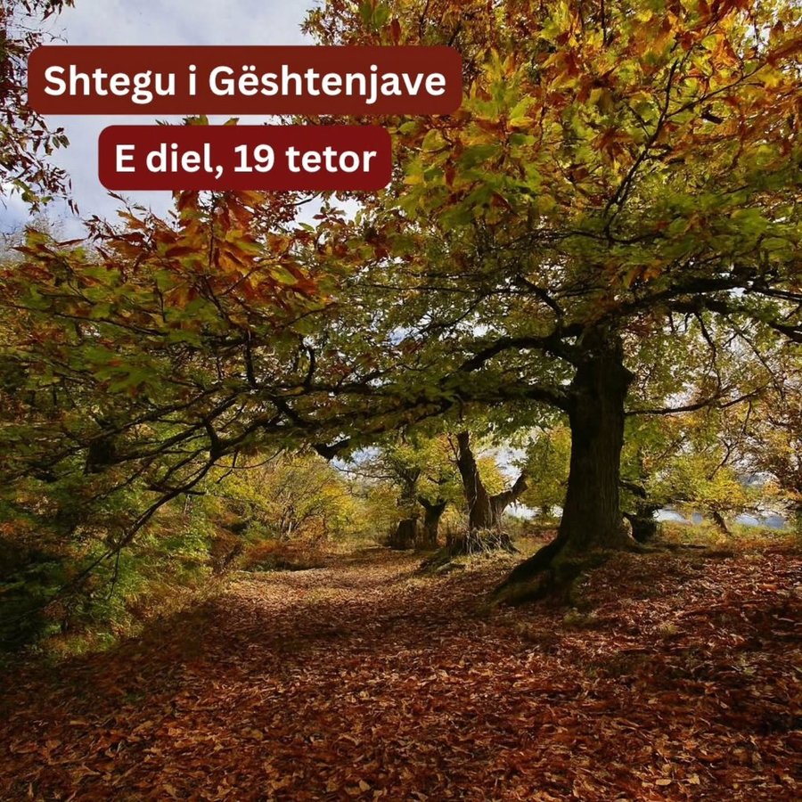 Hiking adventure in Peja, Kosovo nature photography